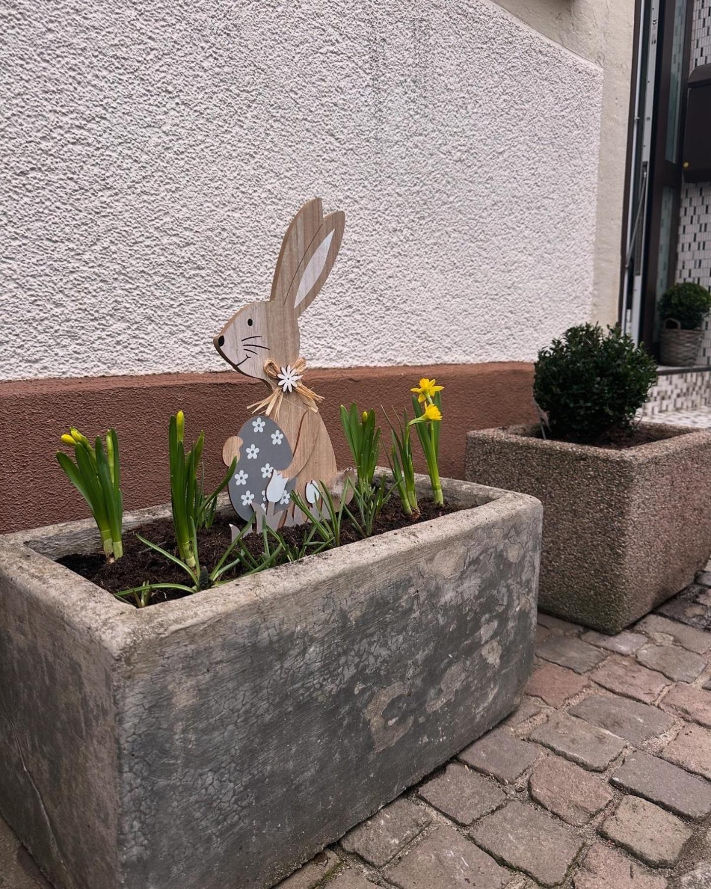 Ferienwohnung Am Berg Bad Bergzabern Zewnętrze zdjęcie